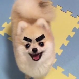 Meet your Posher, Claudia